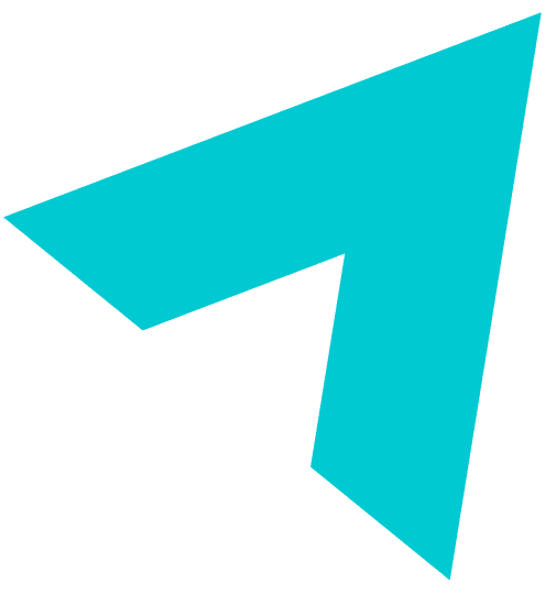 Logo for PlayOn