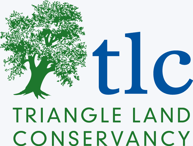 Logo for TLC Media