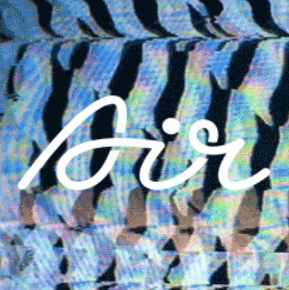 Logo for Zoom Exotic