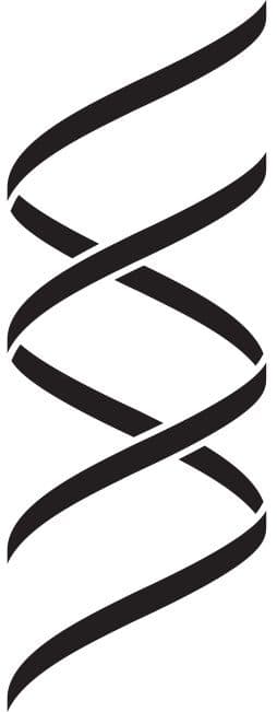 Logo for Wyss Institute